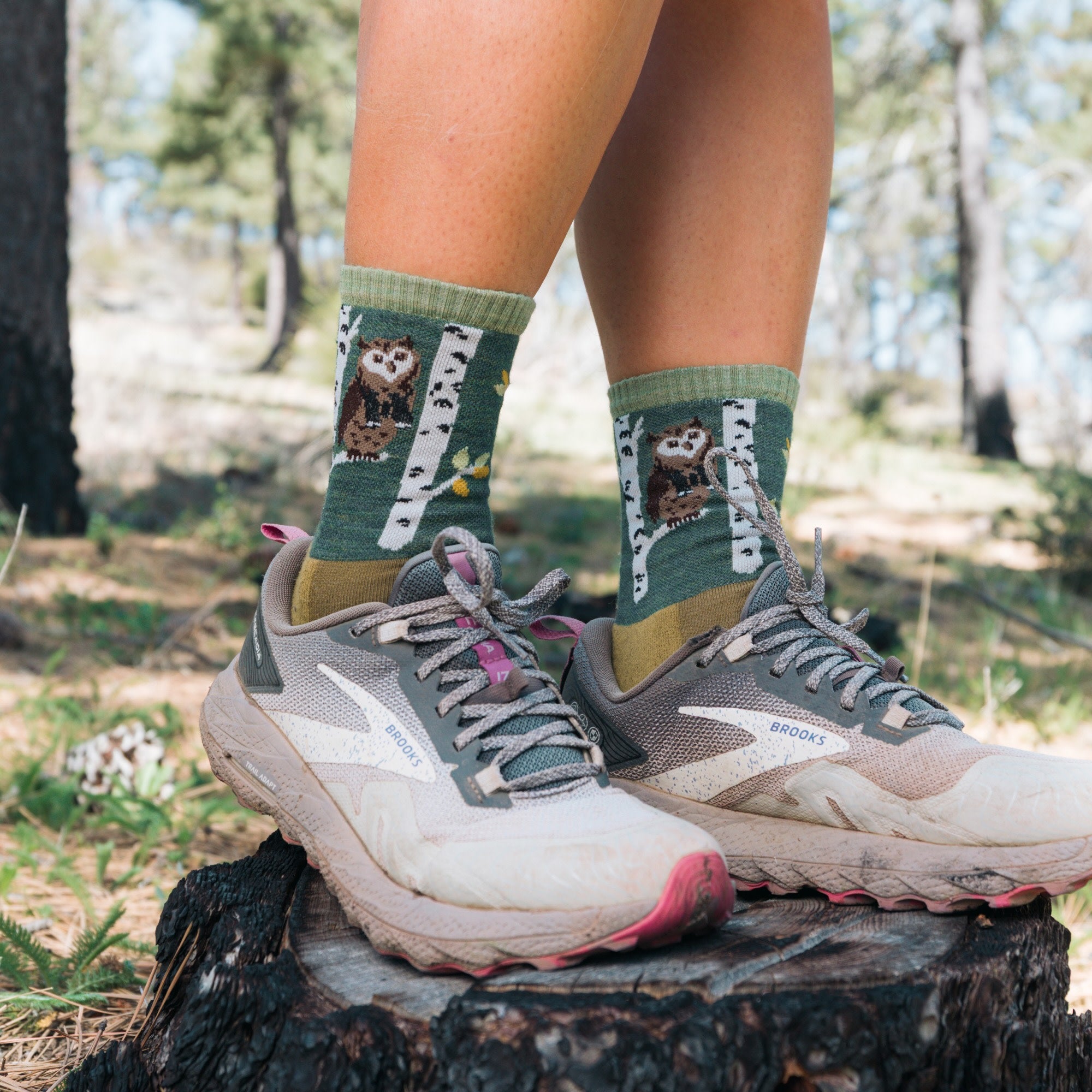 Women's Multi-Weight Micro Crew Sock 3-Pack - Image 4