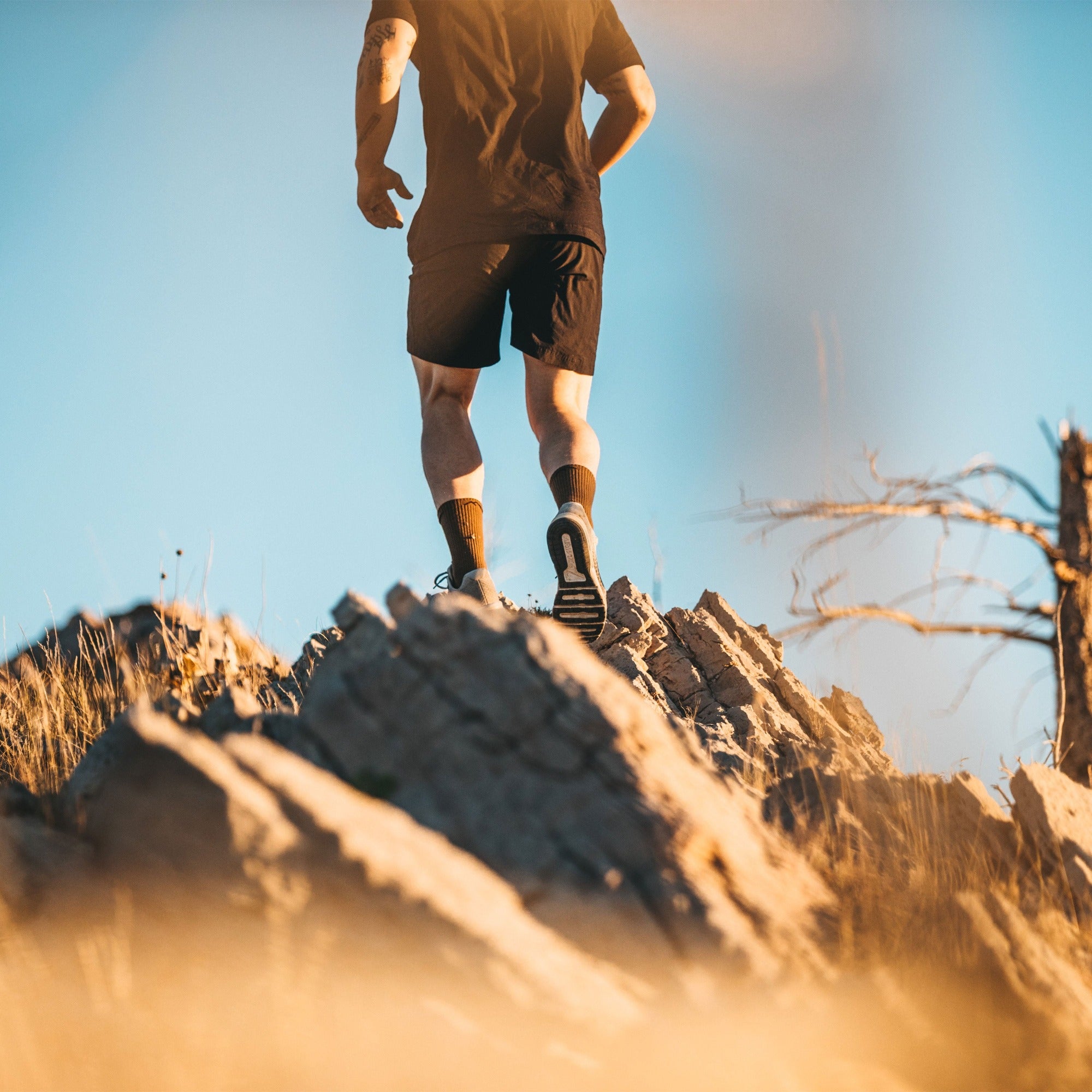 T4021 Boot Midweight Tactical Socks with Cushion - Image 3